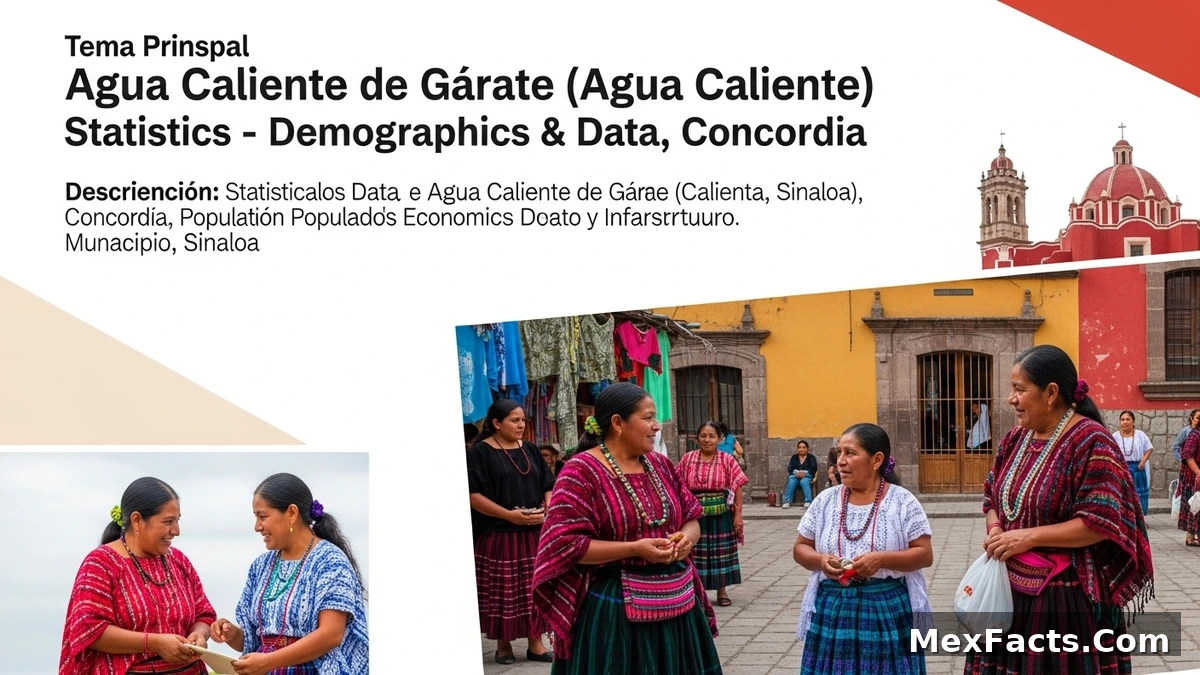Statistical data and demographics of Agua Caliente de Gárate (Agua Caliente), Concordia, Sinaloa