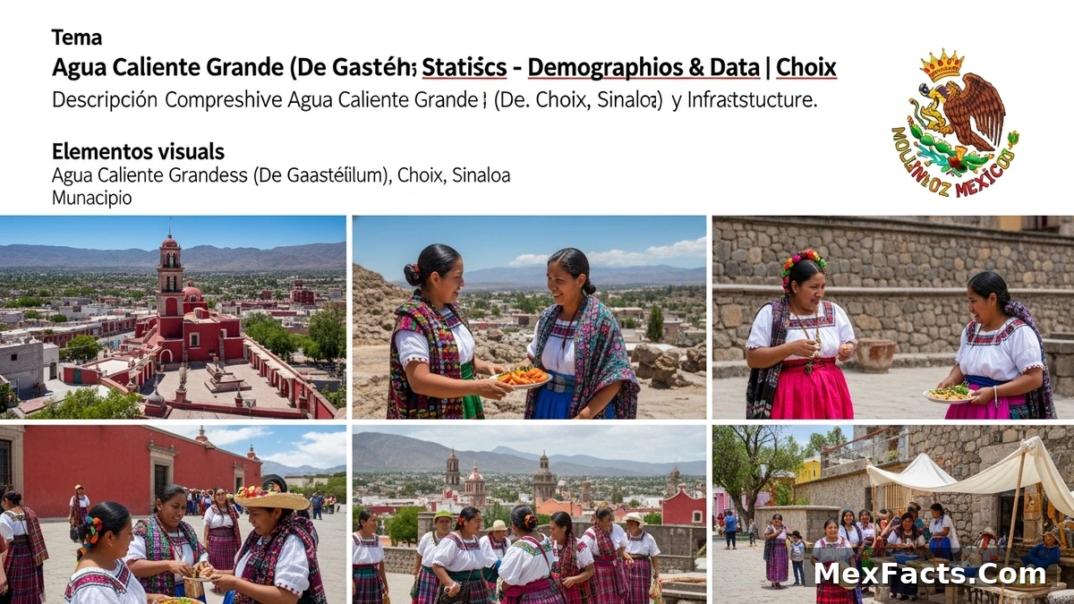 Statistical data and demographics of Agua Caliente Grande (De Gastélum), Choix, Sinaloa