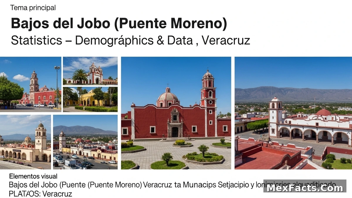 Statistical data and demographics of Bajos del Jobo (Puente Moreno), Veracruz, Veracruz