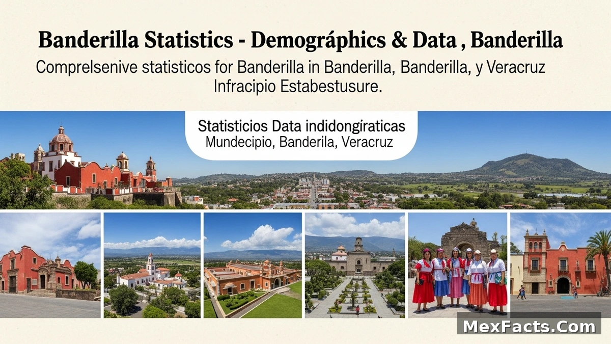 Statistical data and demographics of Banderilla, Banderilla, Veracruz