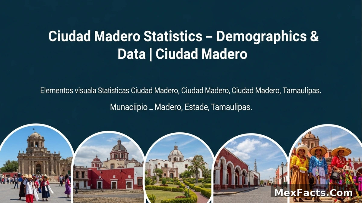 Statistical data and demographics of Ciudad Madero, Ciudad Madero, Tamaulipas