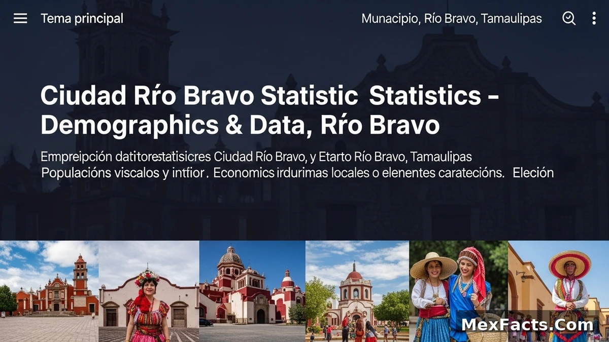 Statistical data and demographics of Ciudad Río Bravo, Río Bravo, Tamaulipas